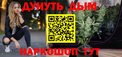Альфа ПВП Моздок