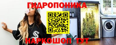 Альфа ПВП Моздок