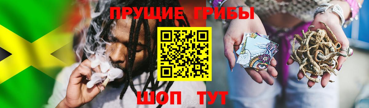 Псилоцибиновые грибы мицелий Домодедово